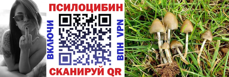 Псилоцибиновые грибы Psilocybine cubensis  блэк спрут зеркало  Никольск 