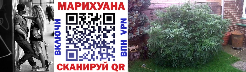 Конопля гибрид  как найти наркотики  Никольск 